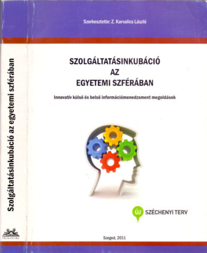 Szolgáltatásinkubáció az egyetemi szférában - Z. Karvalics László (szerk.)