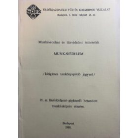   Munkavédelem - Ideiglenes tankönyvpótló jegyzet a 91. sz. fűzfeldolgozó-gépkezelő betanított munkásképzés részére - Németh Sándor