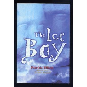 The Ice Boy - Patricia Elliott