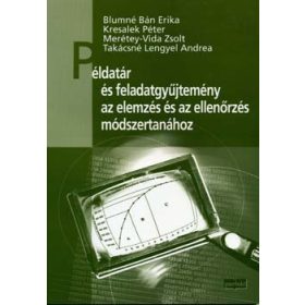   Példatár és feladatgyűjtemény az elemzés és az ellenőrzés módszertan.. - Blumné-Kresalek-Merétey-Takács