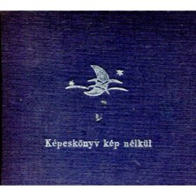 Képeskönyv kép nélkül - Hans Christian Andresen