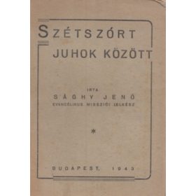 Szétszórt juhok között - Sághy Jenő