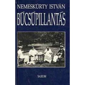 Búcsúpillantás - Nemeskürty István