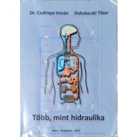   Több, mint hidraulika - Dr. Csoknyai István - Doholuczki Tibor