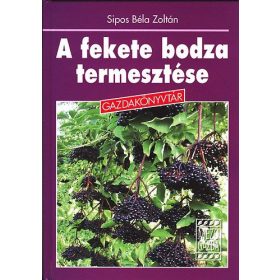 Sipos Béla Zoltán: A fekete bodza termesztése