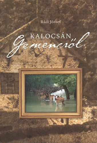 Rádi József: Kalocsán - Gemencről