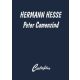 Peter Camenzind - Hermann Hesse