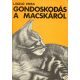 Gondoskodás a macskáról - László Erika