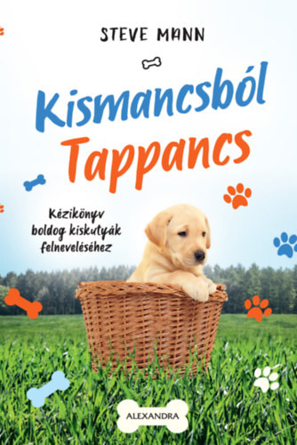 Steve Mann: Kismancsból Tappancs