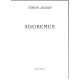 Adoremus - Az Egyház liturgiájának ismerete az egyházzenét művelő fiatalok részére - Török József