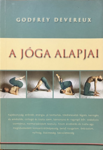 A jóga alapjai - Godfrey Devereux