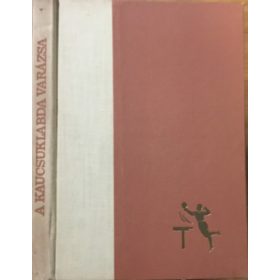 A kaucsuklabda varázsa - Sidó Ferenc