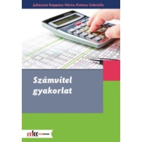   Számvitel gyakorlat - Juhászné Koppány Márta, Katona Gabriella