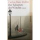 Der Schatten des Windes - Carlos Ruiz Zafón