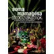 Afrodiziákumok - Az érzékletektől az érzékiségig - vágykeltő receptjeim gyűjteménye - Soma Mamagésa