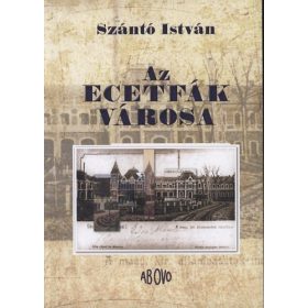 Az ecetfák városa - Szántó István