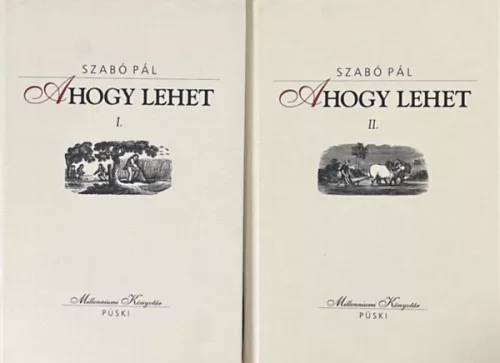 Ahogy lehet I-II. - Szabó Pál