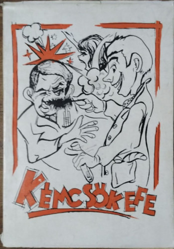 Kémcsőkefe (a Veszprémi Vegyipari Egyetem sokévenként megjelenő évkönyve az 1963-ban végzettek gondozásában) - 