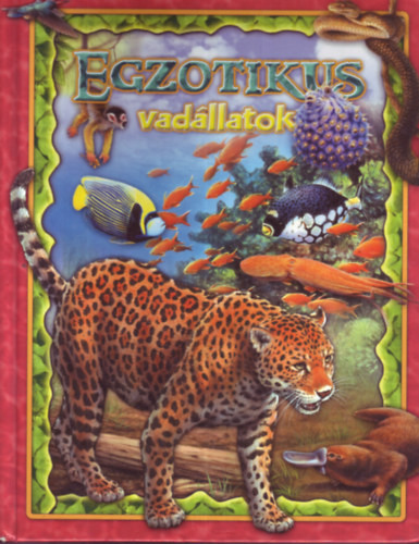 Egzotikus vadállatok - Bagoly Ilona (szerk.)