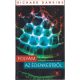 Folyam az Édenkertből - Darwinista elmélkedések az életről - Richard Dawkins