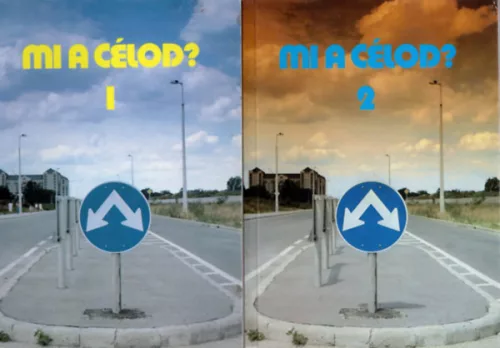 Mi a célod? I-II - Rövid evangéliumi történetek gyermekeknek - 