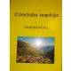 Conchita naplója - Garabandal - 