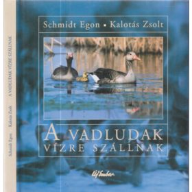 A vadludak vízre szállnak - Schmidt Egon; Kalotás Zsolt
