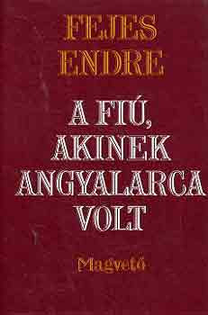 A fiú, akinek angyalarca volt - Fejes Endre
