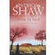 Sterne im Sand - Patricia Shaw