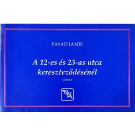   A 12-es és 23-as utca kereszteződésénél - Fayad Jamís, Simor András (szerk.)