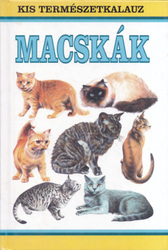 Howard Loxton: Macskák (Kis Természetkalauz)