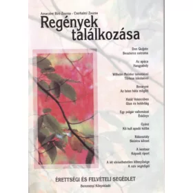   Amacziné Biró Zsuzsa; Cserhalmi Zsuzsa: Regények találkozása