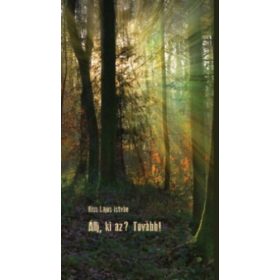 Kiss Lajos István: Állj, ki az? Tovább!