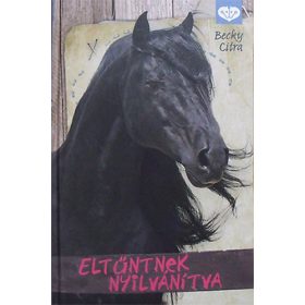 Becky Citra: Eltűntnek nyilvánítva
