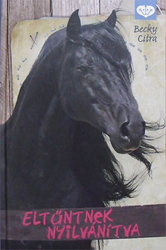 Becky Citra: Eltűntnek nyilvánítva