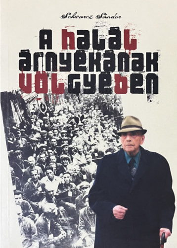 Schwarcz Sándor: A halál árnyékának völgyében