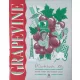 Peter Viney - Karen Viney: Grapevine - Workbook 3B