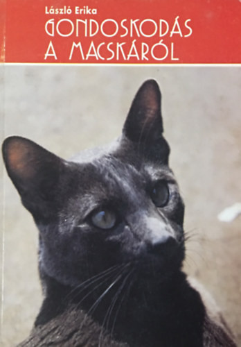 László Erika: Gondoskodás a macskáról