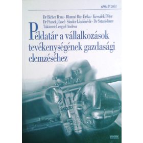   Blumné B.E. Dr.Birher I.: Példatár a vállalkozások tevékenységének gazdasági elemzéséhez