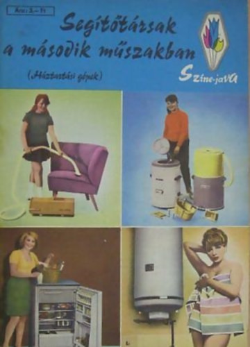 Kutasné Péter Ágnes: Segítőtársak a második műszakban