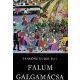 Vankóné Dudás Juli: Falum Galgamácsa