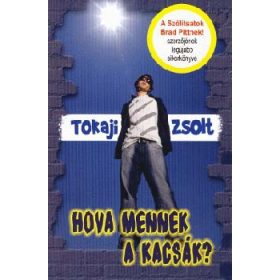 Tokaji Zsolt: Hova mennek a kacsák?