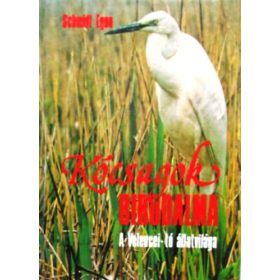   Schmidt Egon: Kócsagok birodalma - A Velencei-tó állatvilága