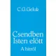 C. G. Geluk: Csendben Isten előtt-A hitről