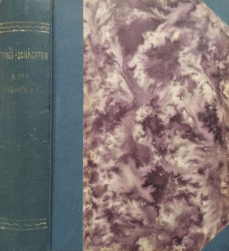 Dr. Dénes József - Dr. Schächter Antal: A ma gyermeke