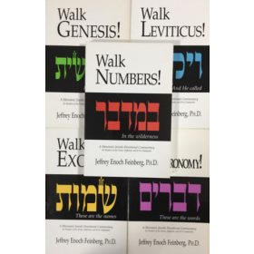 Jeffrey Enoch Feinberg: The Walk Set (5 volumes)