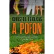 Christos Tsiolkas: A pofon
