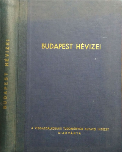Budapest hévizei