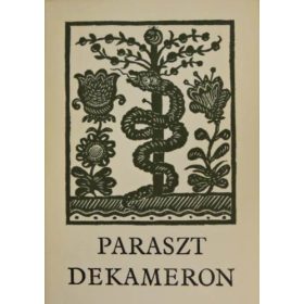 Nagy Olga: Paraszt Dekameron