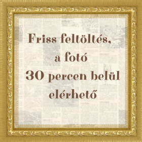 Hársing László: Élettan - kórélettan